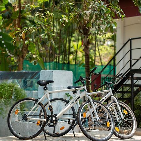 Villa Barbosa, 2 Bhk Villa & Luxury Rooms Near Colva, Sernabatim, Benaulim Beach エクステリア 写真