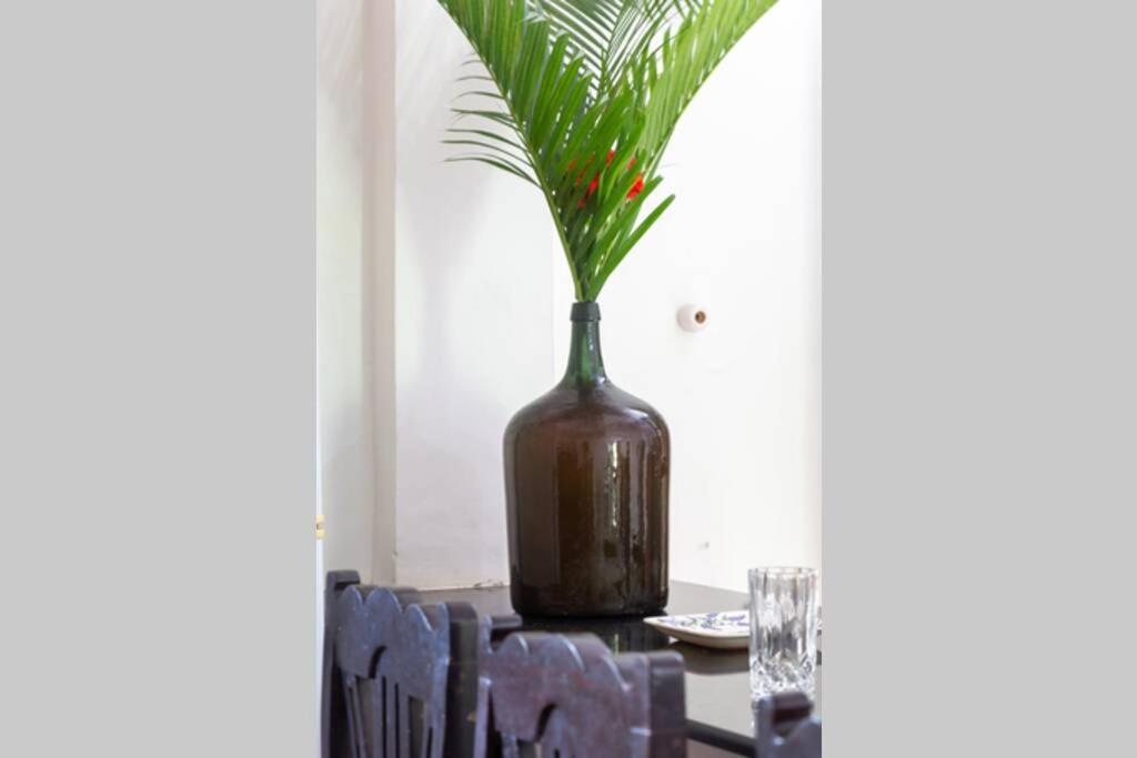 Villa Barbosa, 2 Bhk Villa & Luxury Rooms Near Colva, Sernabatim, Benaulim Beach エクステリア 写真