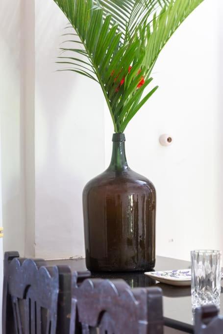 Villa Barbosa, 2 Bhk Villa & Luxury Rooms Near Colva, Sernabatim, Benaulim Beach エクステリア 写真