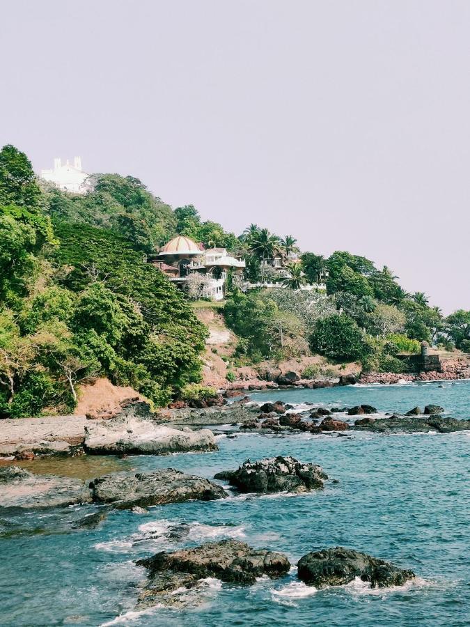 Villa Barbosa, 2 Bhk Villa & Luxury Rooms Near Colva, Sernabatim, Benaulim Beach エクステリア 写真